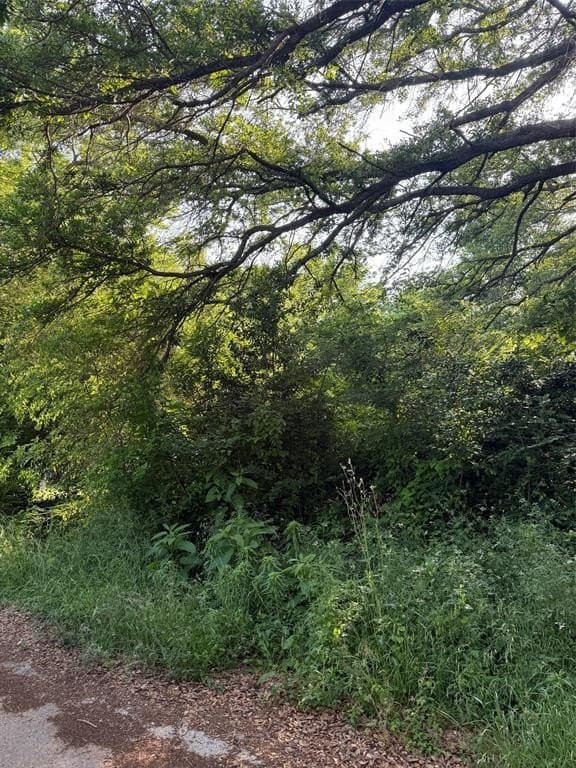 0.16 acres in Henderson County gallery image 2