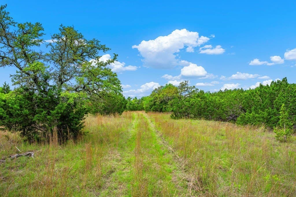 77.59 acres in Gillespie County - photo 17