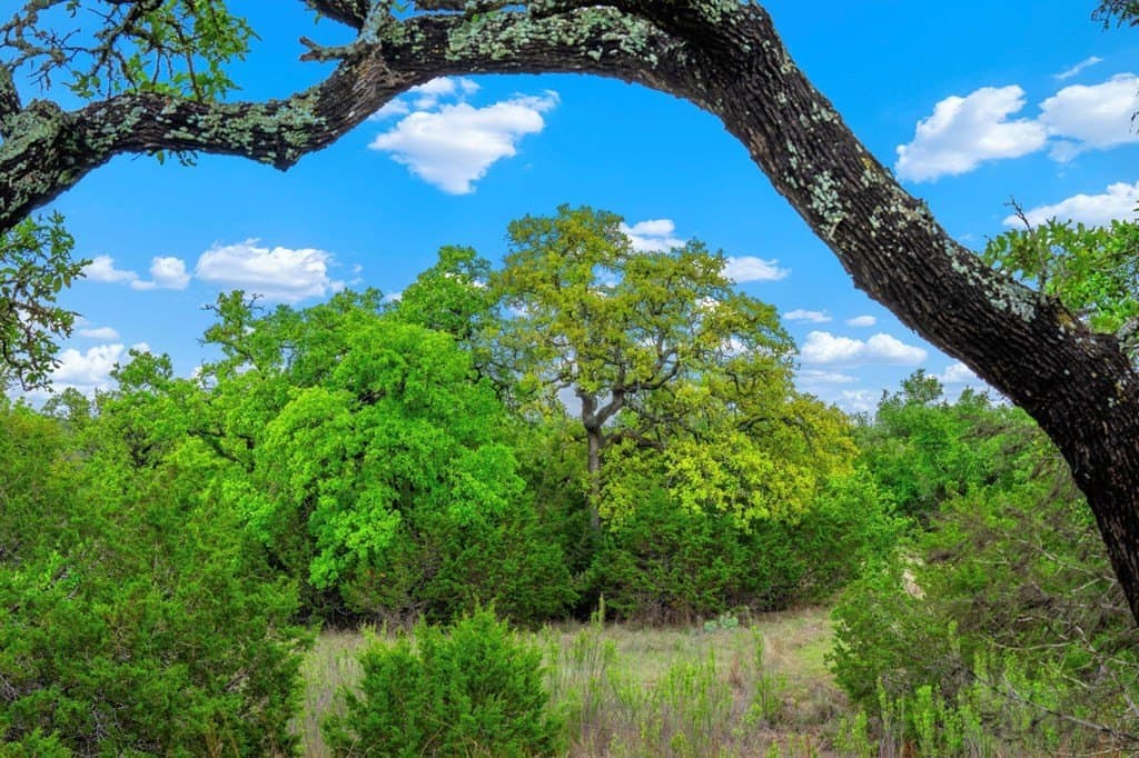 77.59 acres in Gillespie County - photo 15