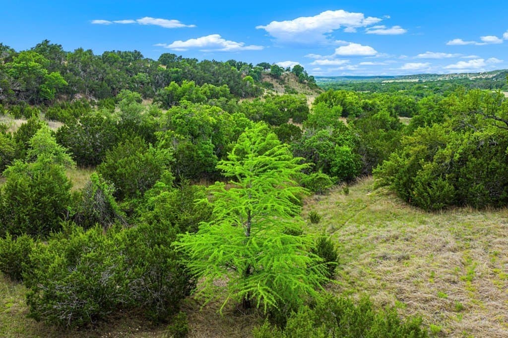 77.59 acres in Gillespie County - photo 12