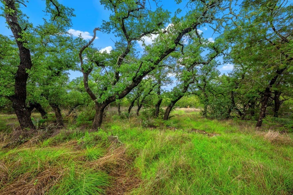 77.59 acres in Gillespie County - photo 14