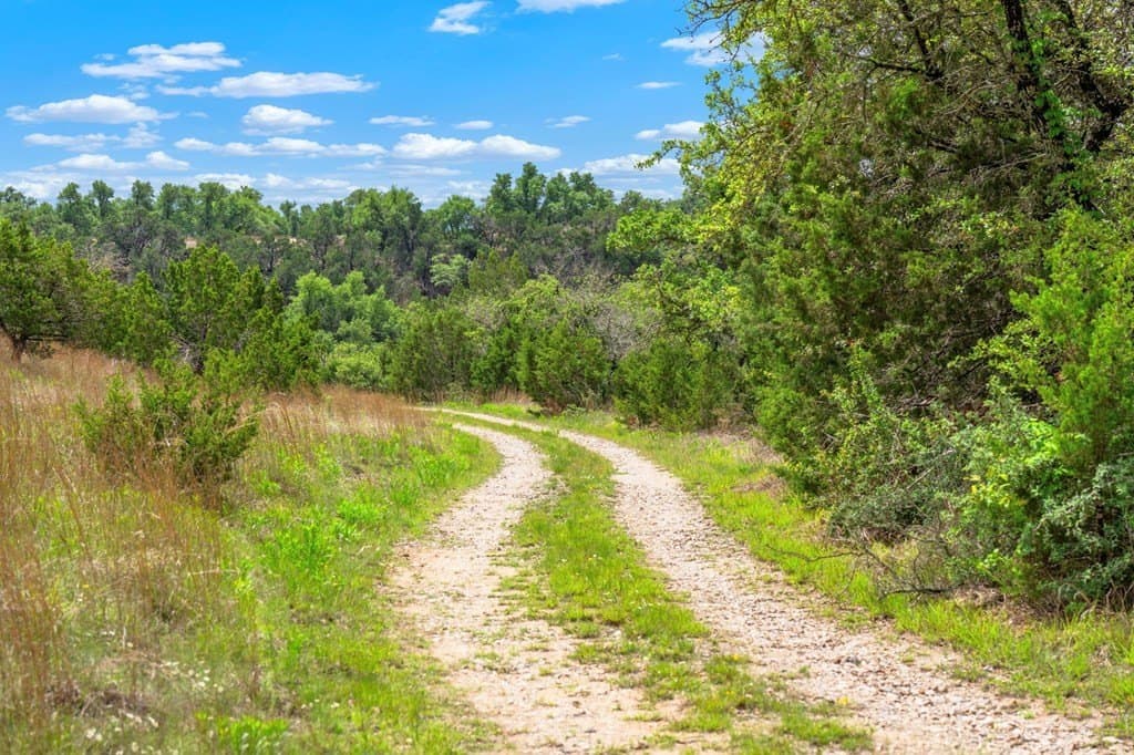77.59 acres in Gillespie County - photo 30