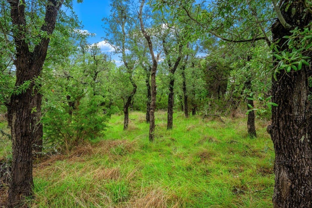 77.59 acres in Gillespie County - photo 13