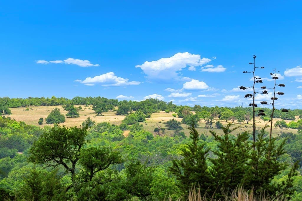 77.59 acres in Gillespie County - photo 9