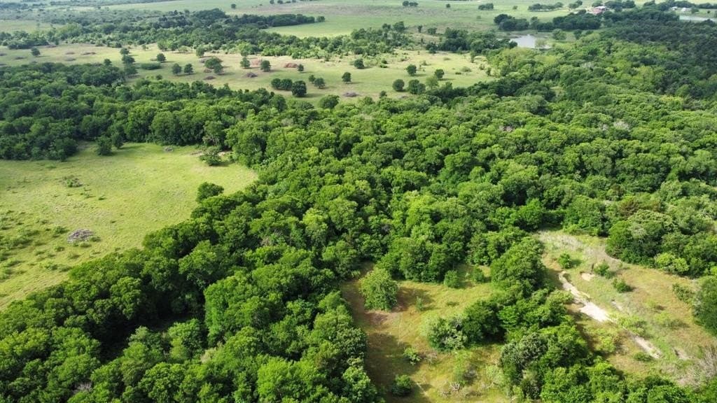 71.46 acres in Hill County featured view