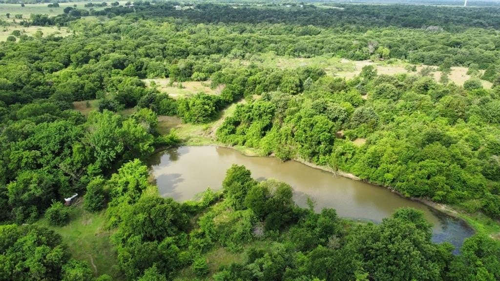 71.46 acres in Hill County gallery image 4