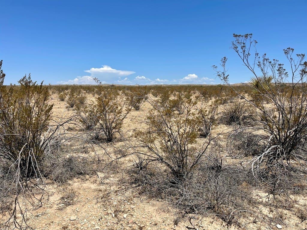 5 acres in Brewster County gallery image 4