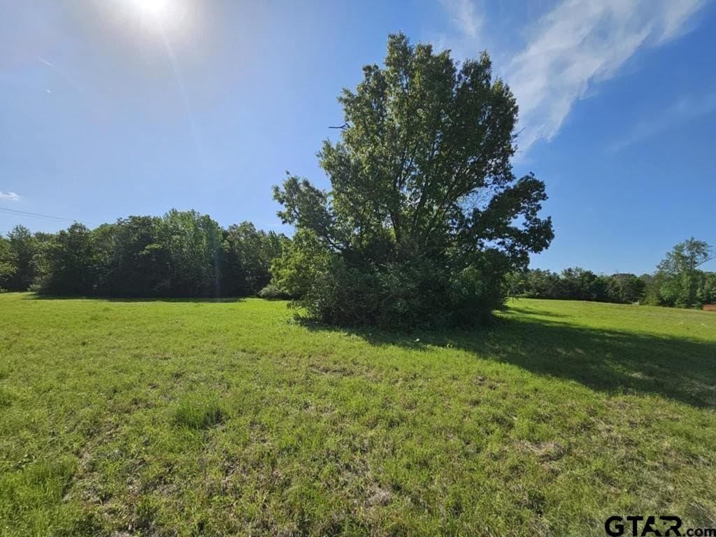 10 acres in Anderson County