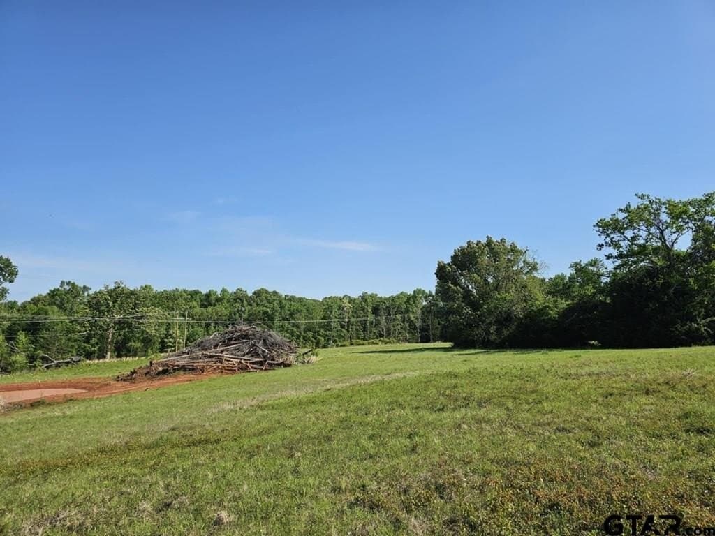 10 acres in Anderson County gallery image 4