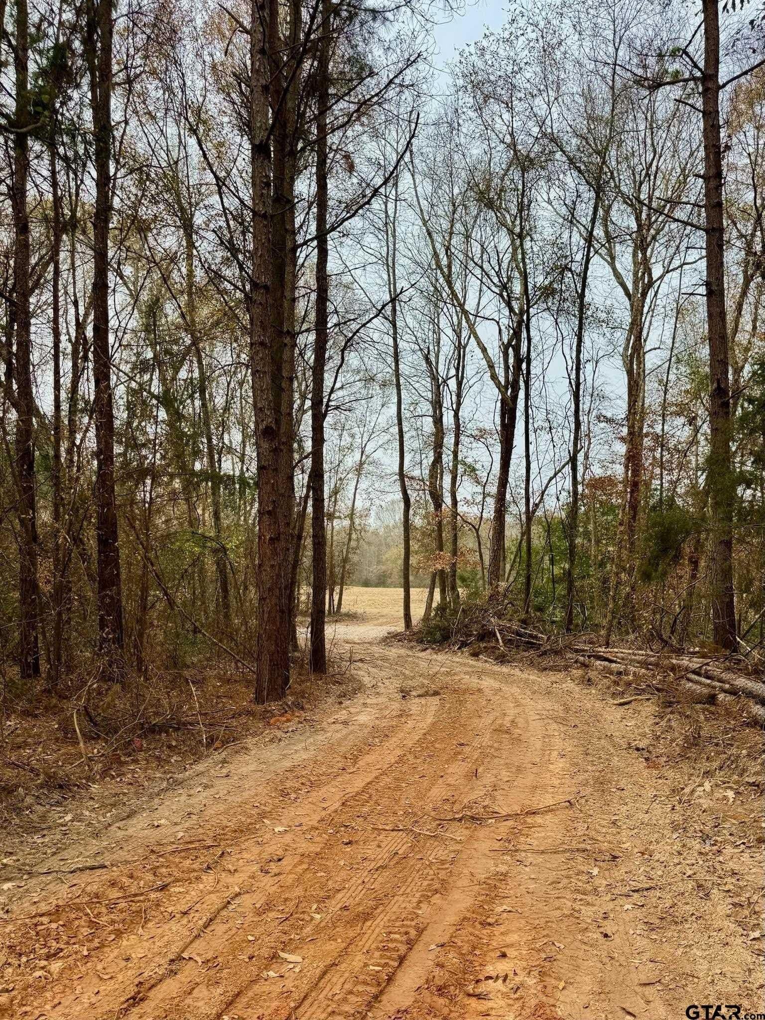 10.1 acres in Cherokee County gallery image 3