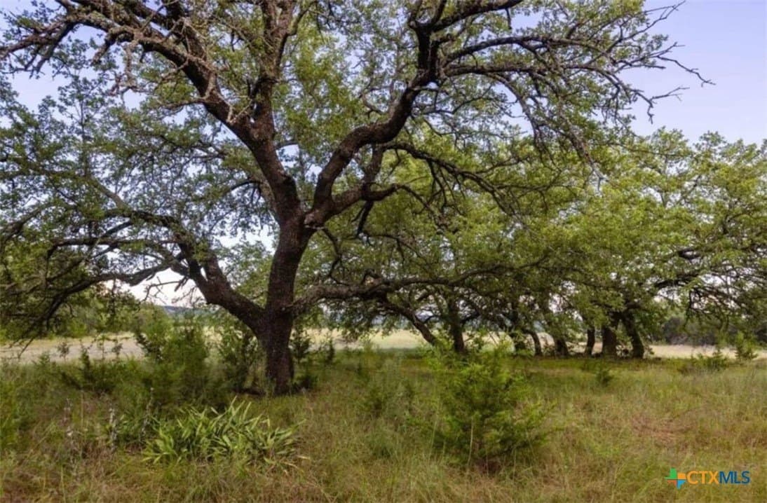 67.83 acres in Lampasas County - photo 19