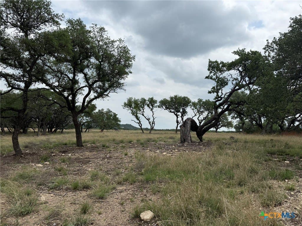 67.83 acres in Lampasas County - photo 8