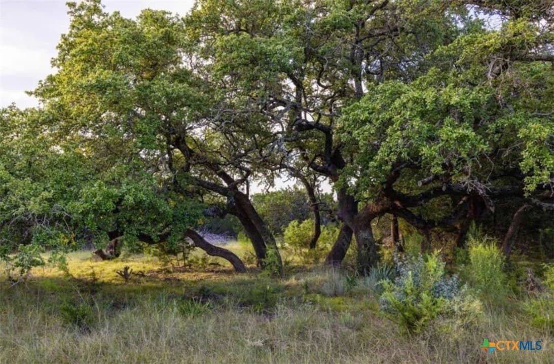 67.83 acres in Lampasas County - photo 17
