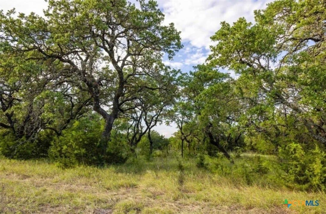 67.83 acres in Lampasas County - photo 18