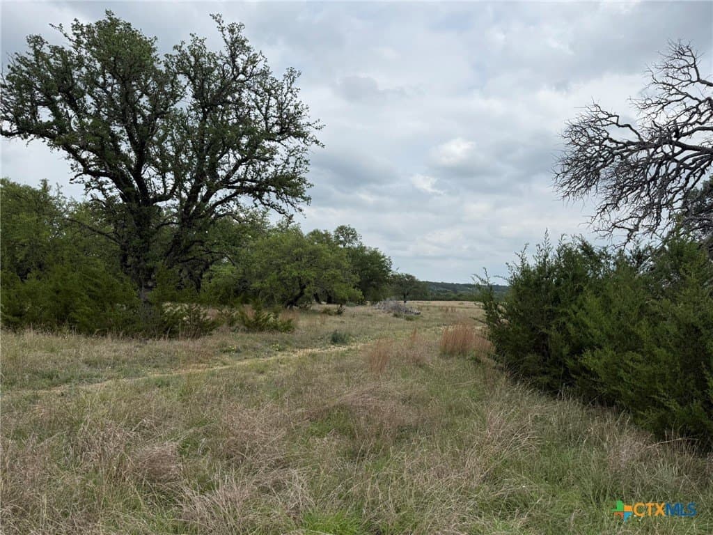 67.83 acres in Lampasas County - photo 9