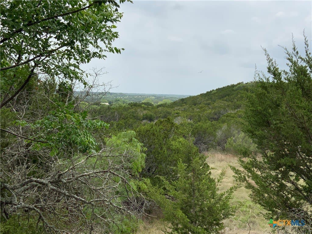 67.83 acres in Lampasas County - photo 4
