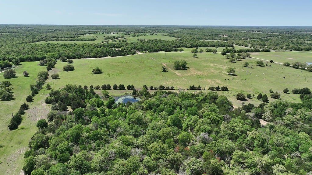 979.3 acres in Lee County - photo 6