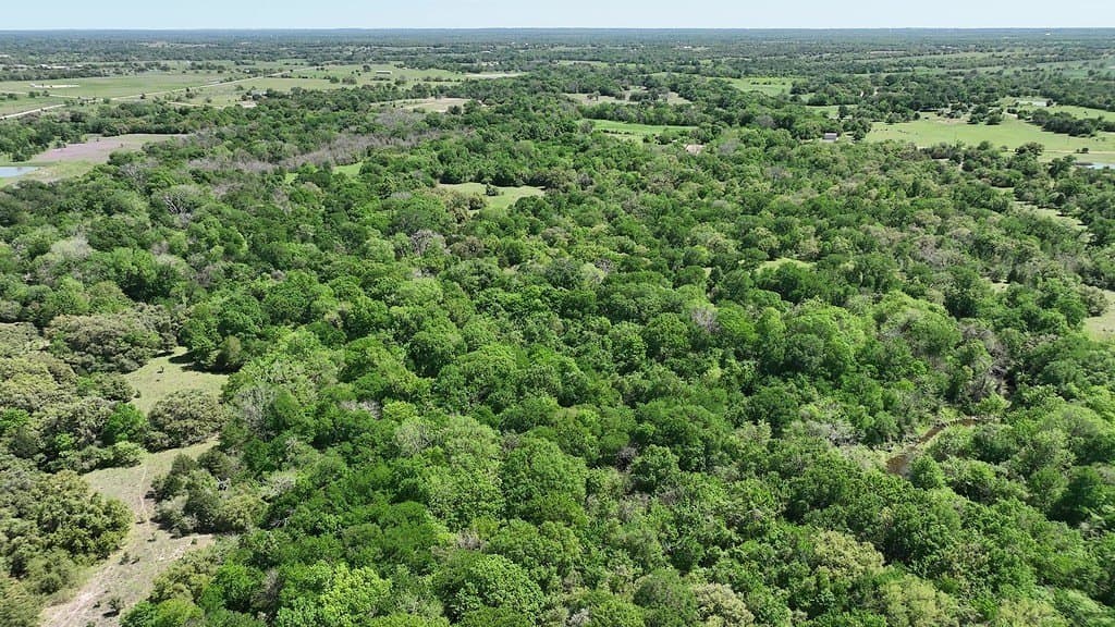 979.3 acres in Lee County - photo 12