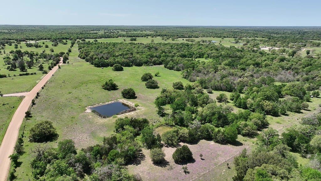 979.3 acres in Lee County - photo 8
