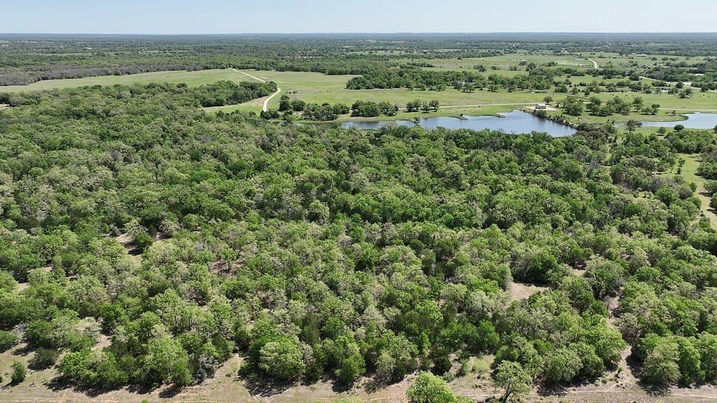 979.3 acres in Lee County - photo 21