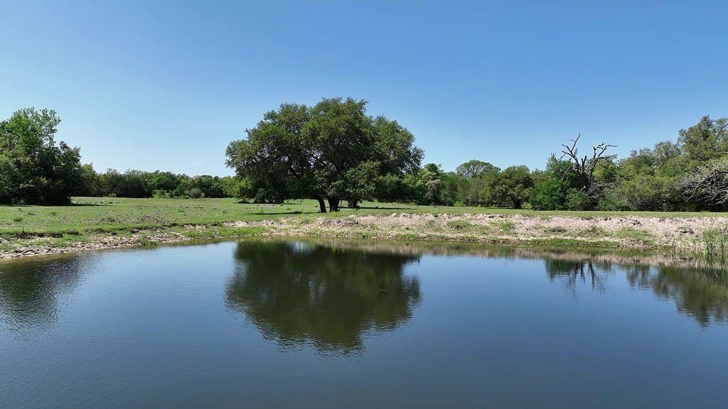979.3 acres in Lee County gallery image 4