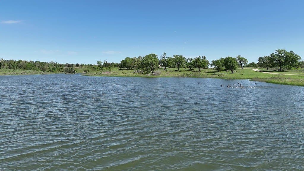 979.3 acres in Lee County - photo 19