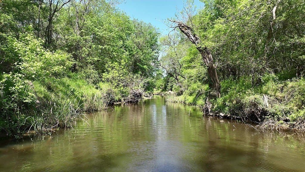 979.3 acres in Lee County gallery image 2