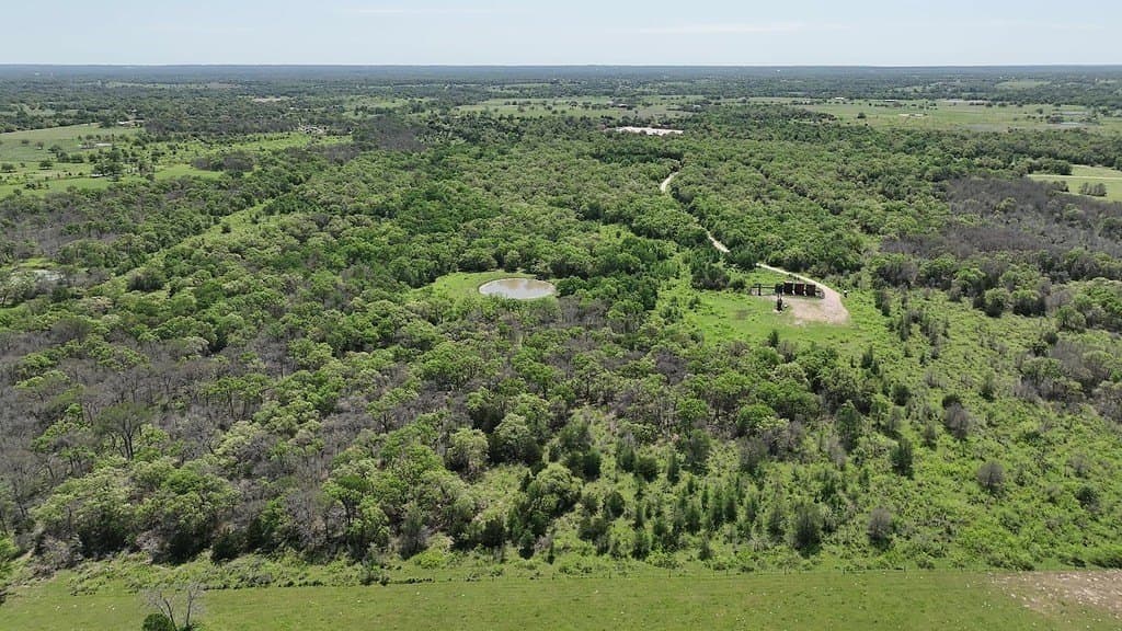 979.3 acres in Lee County - photo 25