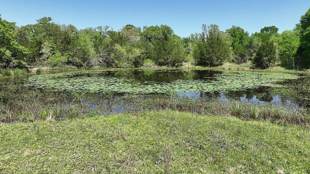 979.3 acres in Lee County - photo 7