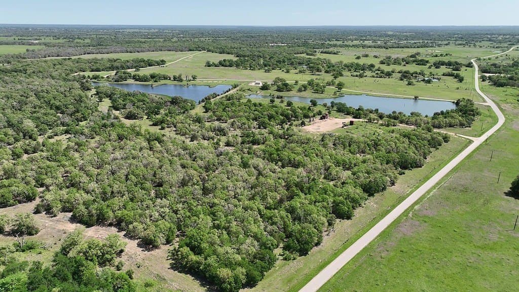 979.3 acres in Lee County - photo 20