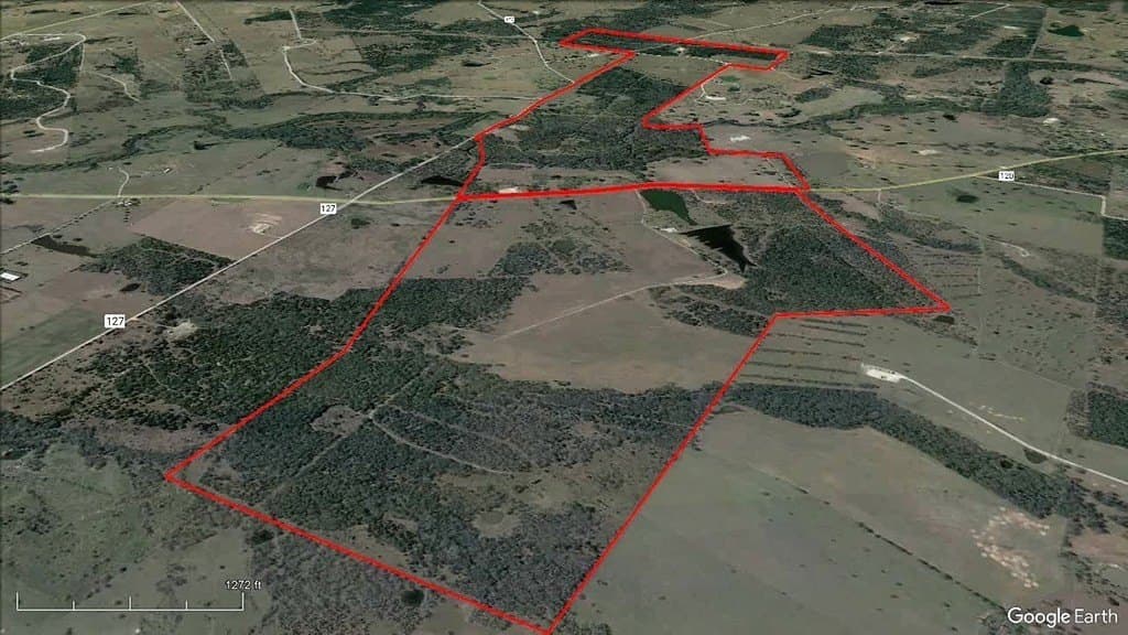 979.3 acres in Lee County gallery image 3