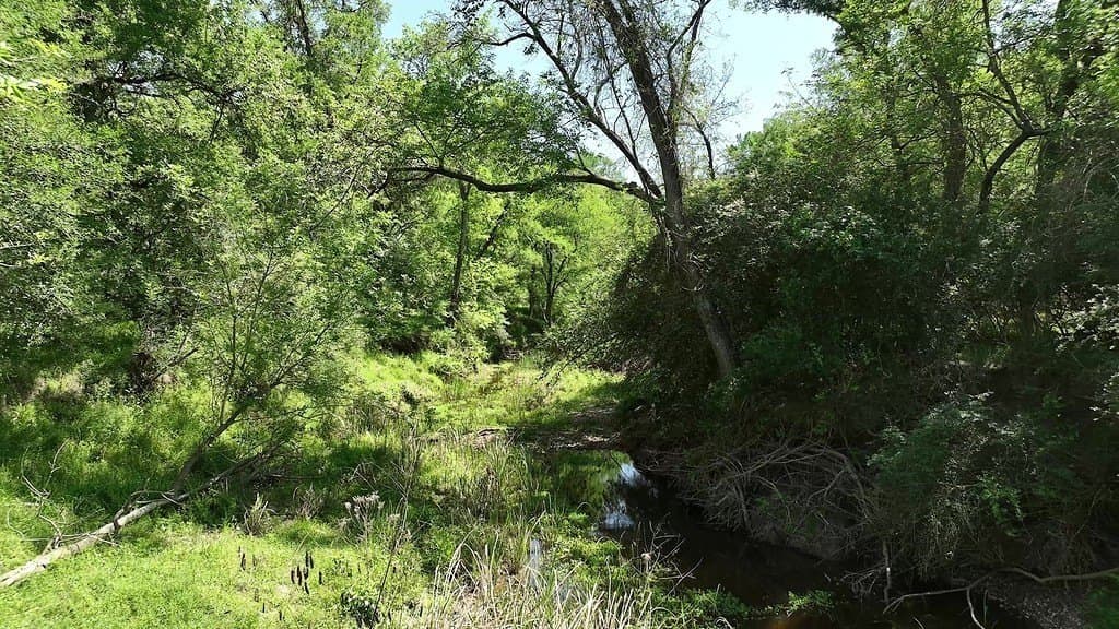 979.3 acres in Lee County - photo 29