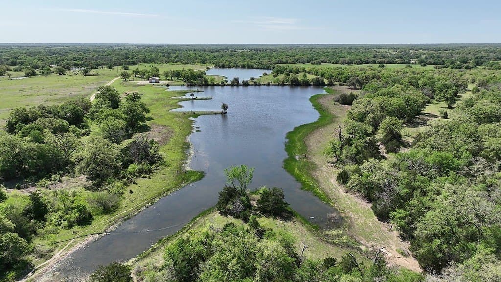 979.3 acres in Lee County - photo 18