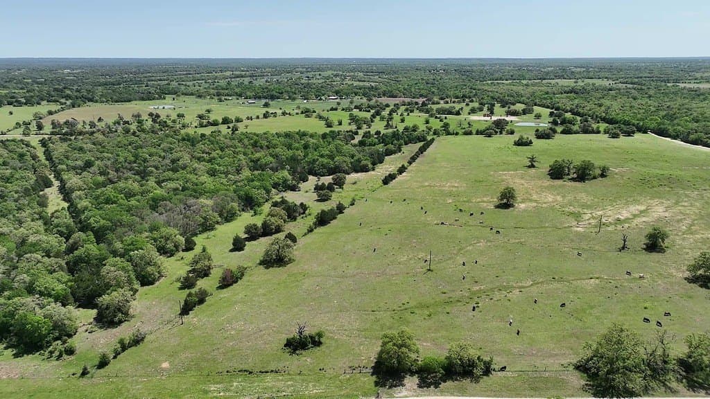 979.3 acres in Lee County - photo 10