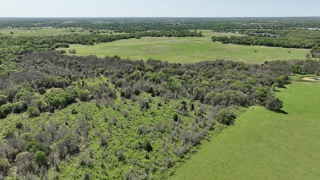 979.3 acres in Lee County - photo 24