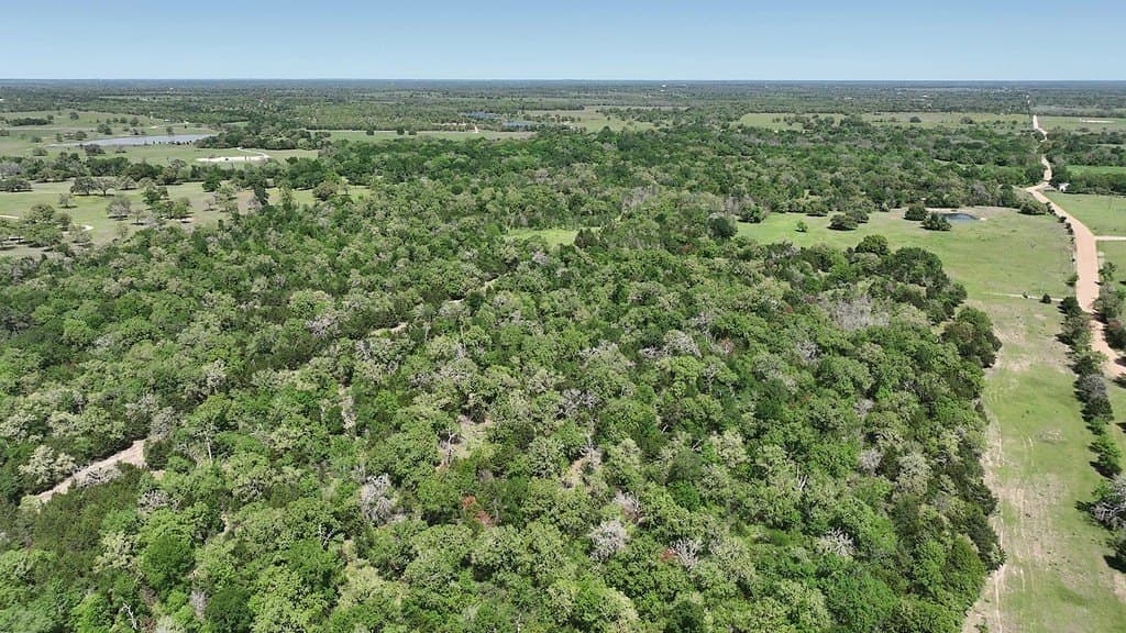 979.3 acres in Lee County - photo 28