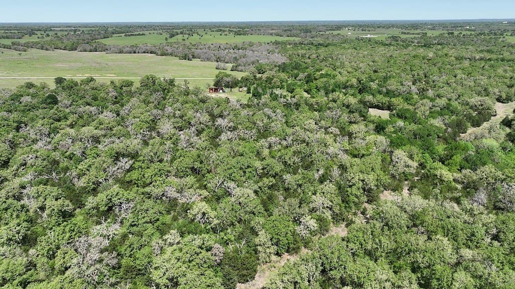 979.3 acres in Lee County - photo 15