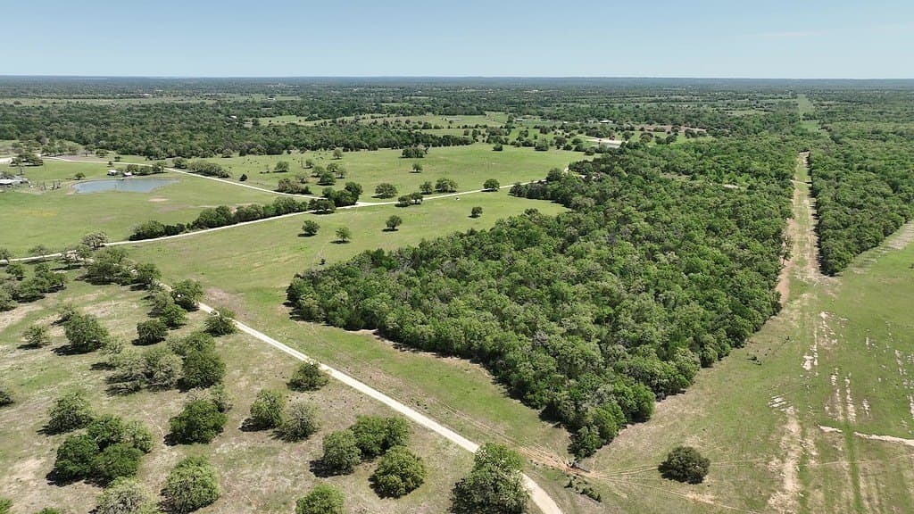 979.3 acres in Lee County - photo 9