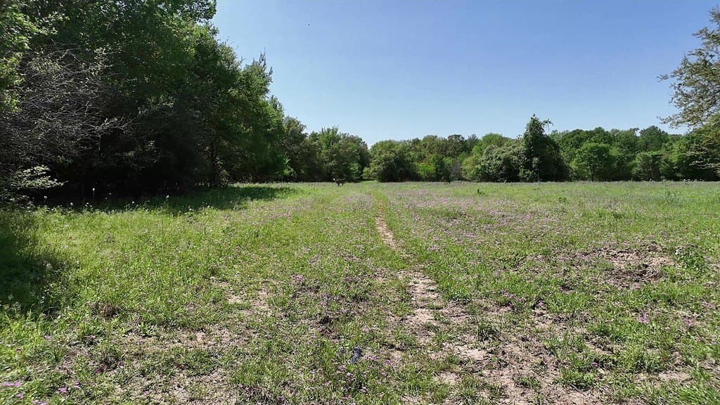 979.3 acres in Lee County - photo 11