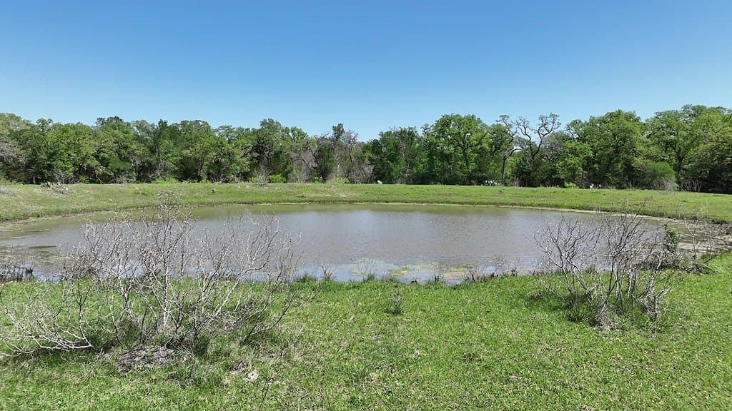 979.3 acres in Lee County - photo 26
