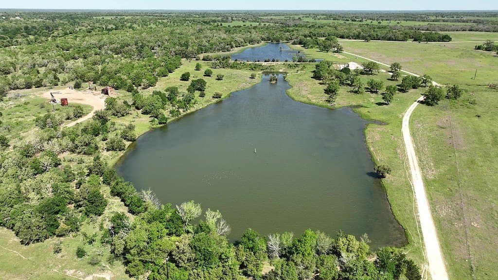 979.3 acres in Lee County