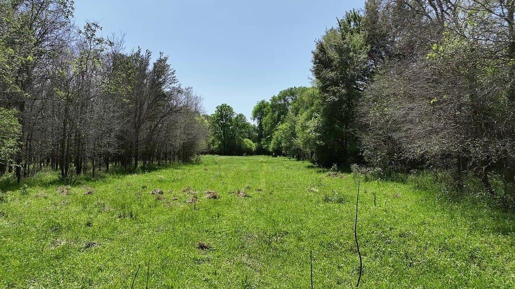 979.3 acres in Lee County featured view