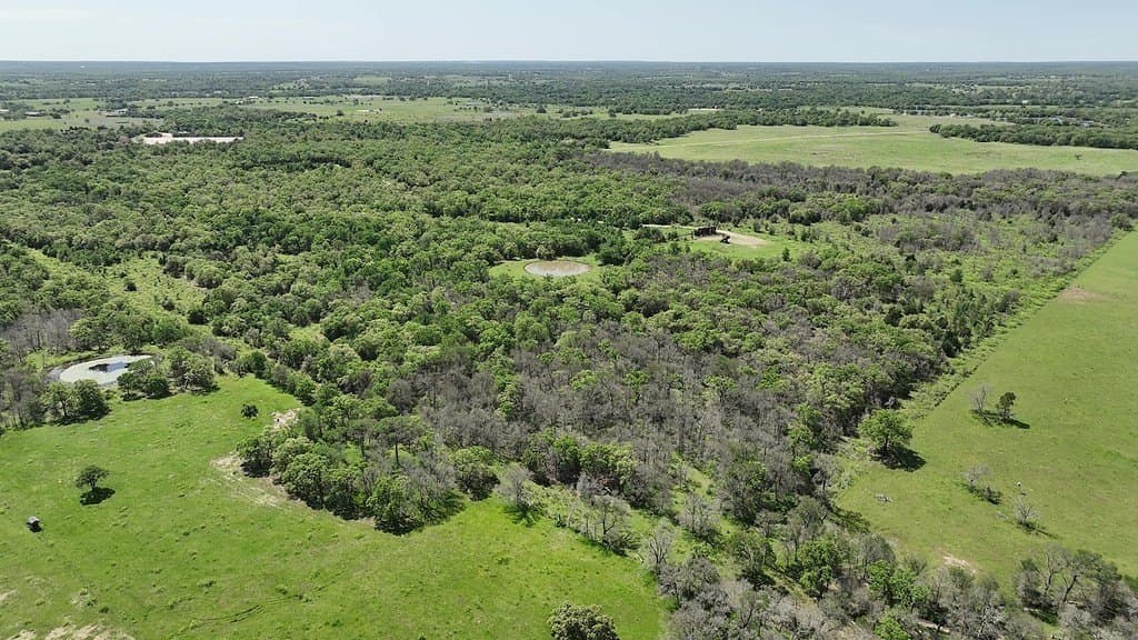 979.3 acres in Lee County - photo 27
