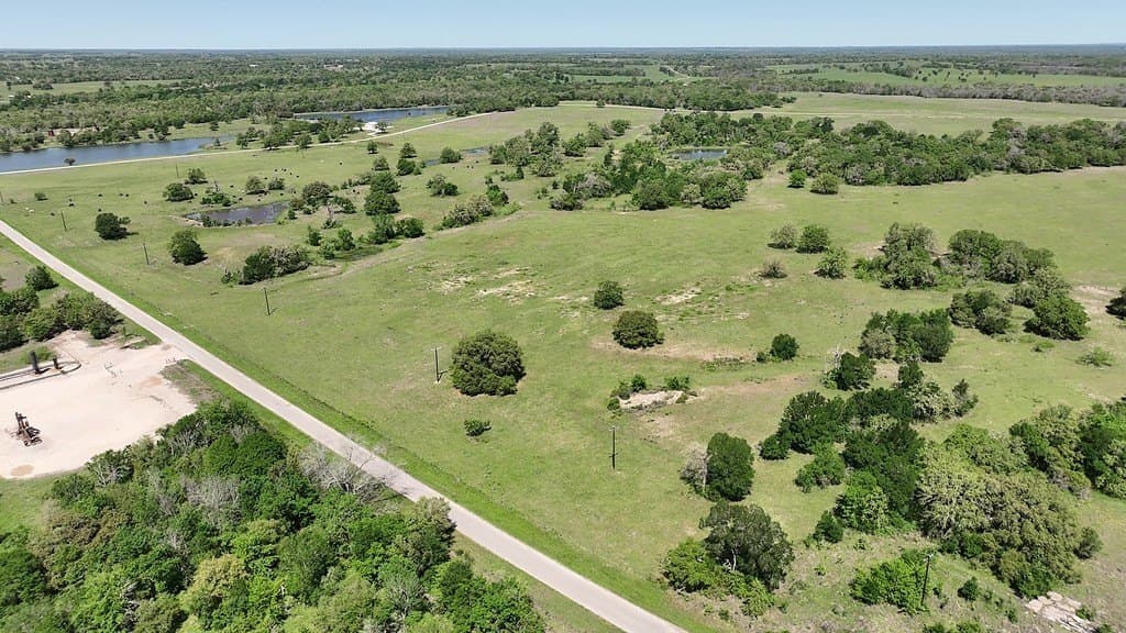 979.3 acres in Lee County - photo 16