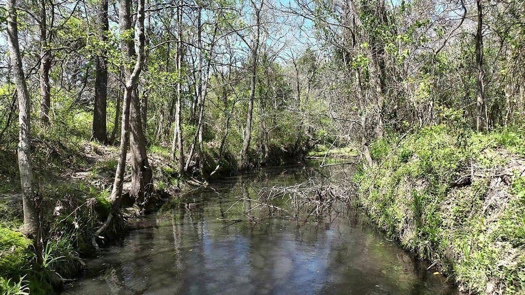 979.3 acres in Lee County - photo 23
