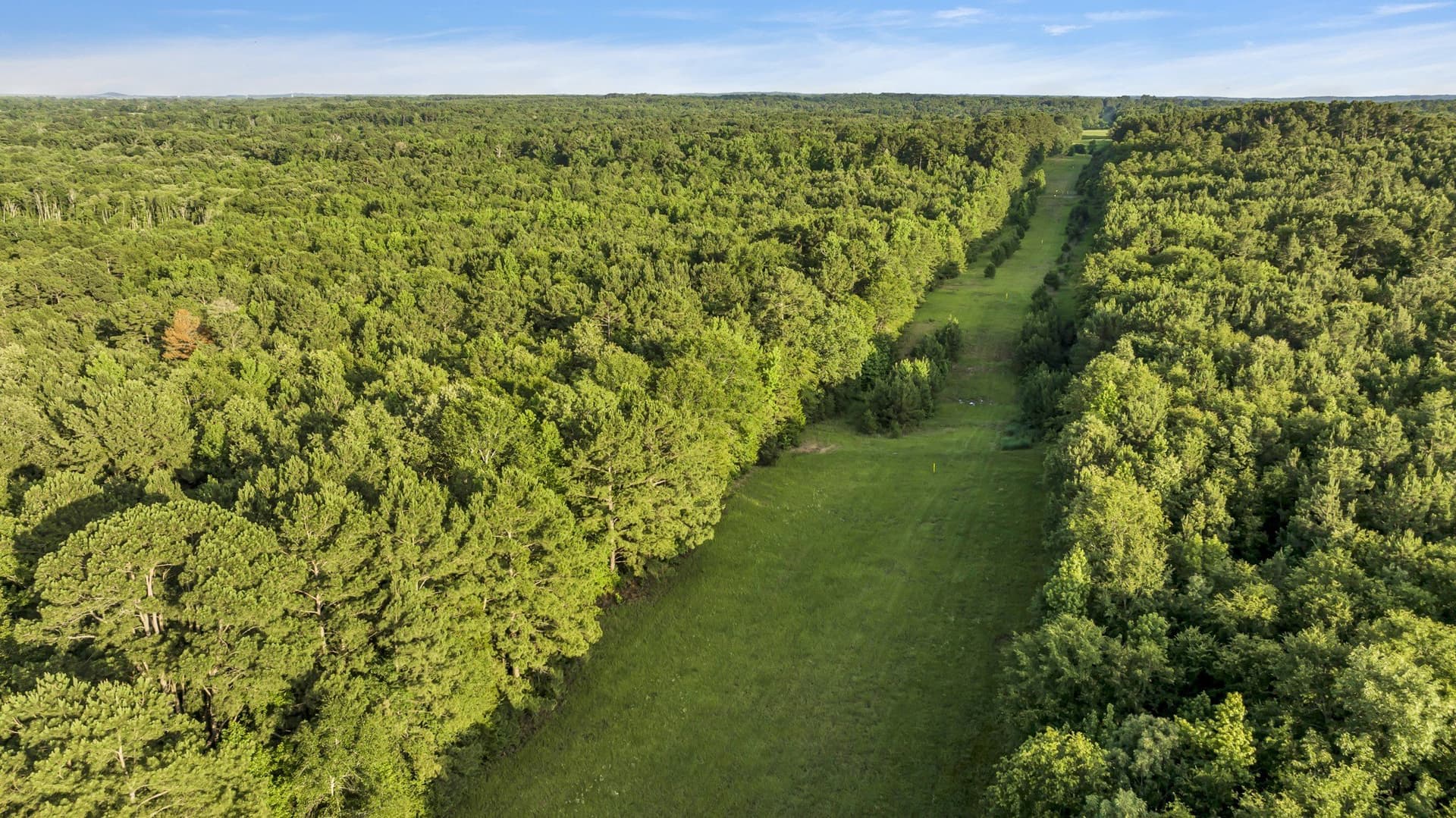 16.07 acres in Smith County featured view