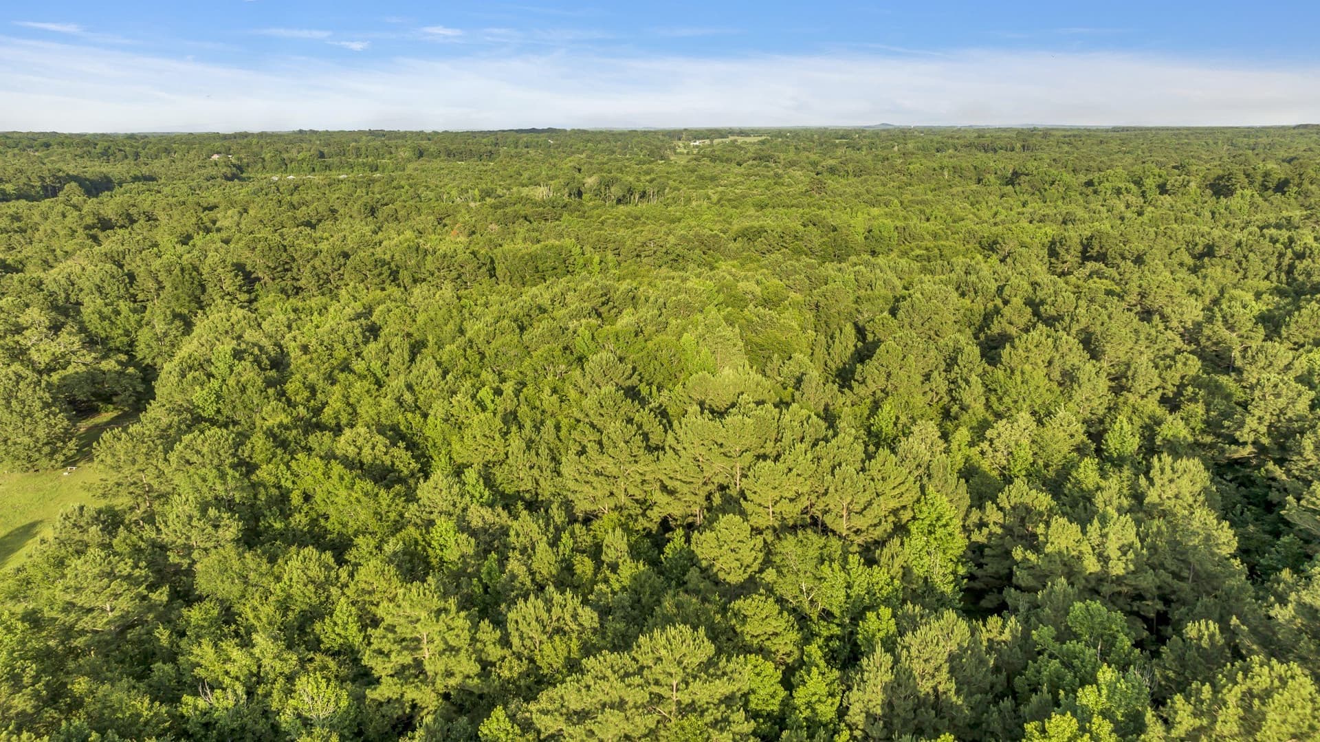 16.07 acres in Smith County gallery image 4