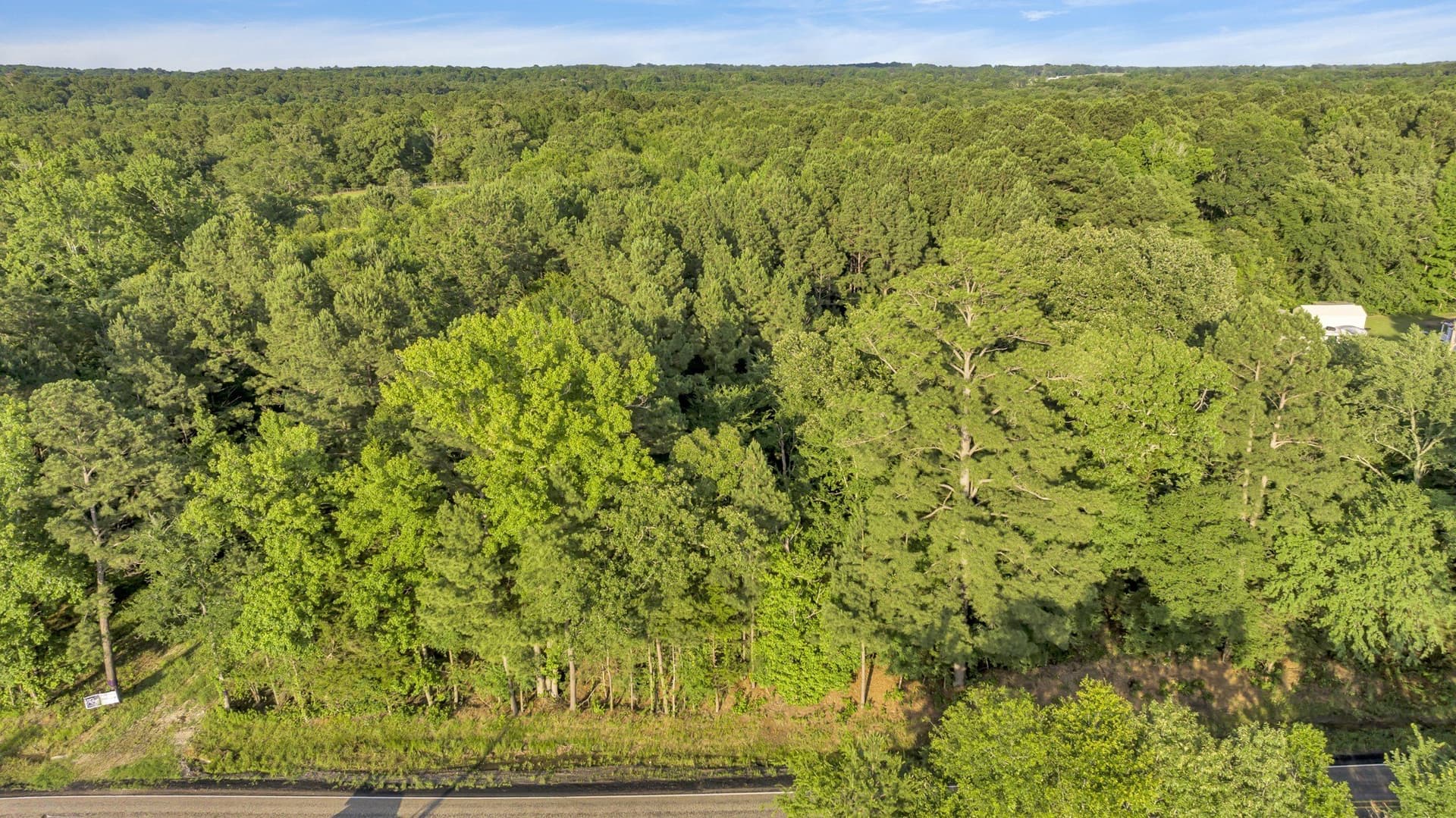 16.07 acres in Smith County gallery image 3