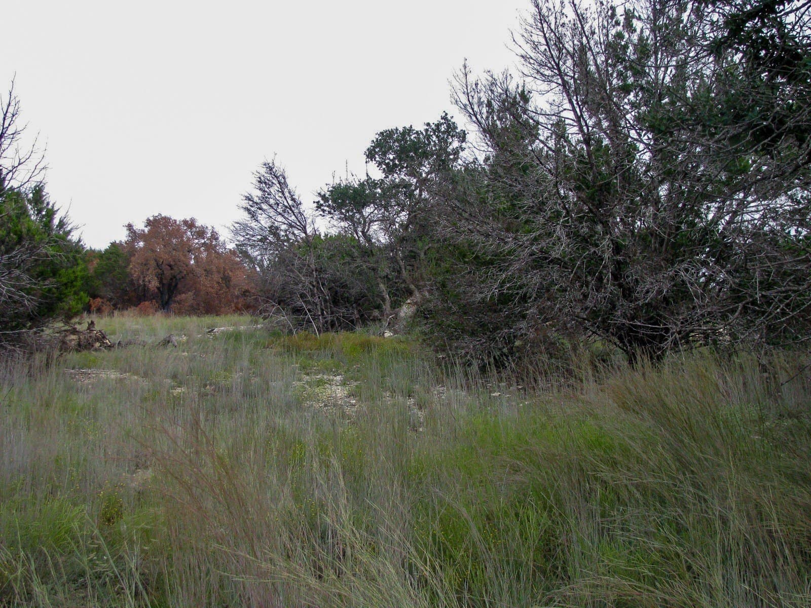 10.01 acres in Hamilton County - photo 12