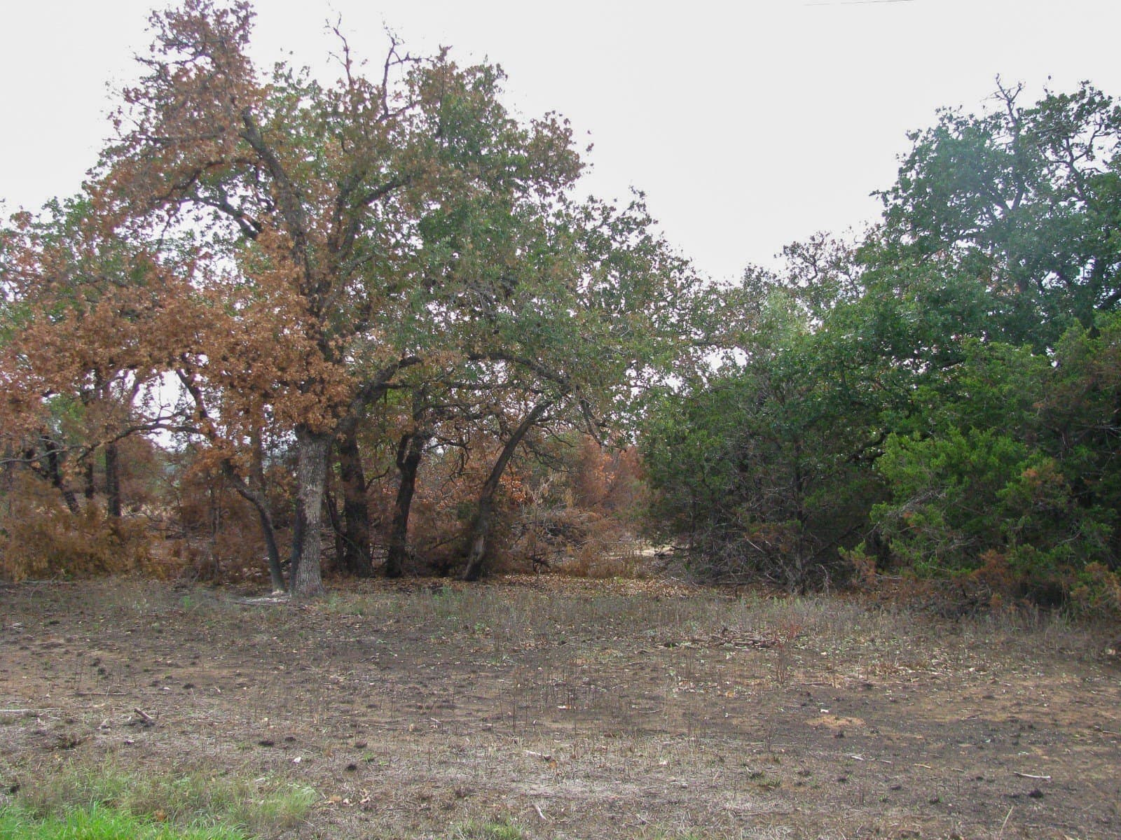 10.01 acres in Hamilton County - photo 8